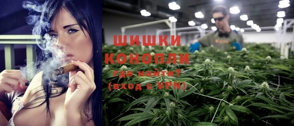 сатива Зерноград