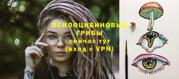 сатива Зерноград