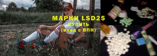 сатива Зерноград
