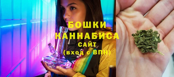 МДПВ Протвино